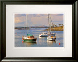 Co Down - Towards Scrabo From Whiterock Frame Black Moulded 60x47.5