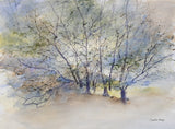 Print - Treescape