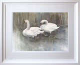 Two Swans, Lagan Towpath Framed