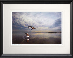 Co Down - Up And Away, Strangford Lough Black Bevelled Frame 
