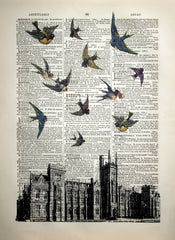 Vintage Birds Over Queen's University Belfast Unframed