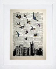 Vintage Birds Over Queen's University Belfast White Frame