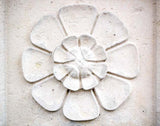 Paris In White - Wall Flower Unframed