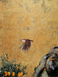 The Lost Words - Wren