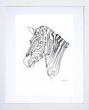 Animals Zebra - Zebra in Black and White White Frame
