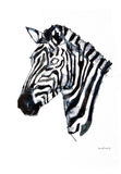 Animals Zebra - Zebra in Colour Unframed